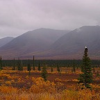 Denali05_04.jpg