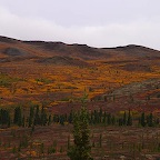 Denali05_09.jpg