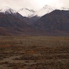 Denali05_17.jpg