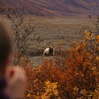 Denali05_18.jpg