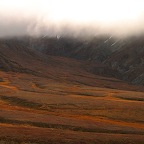 Denali05_20.jpg