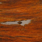 Denali05_22.jpg