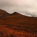 Denali05_23.jpg