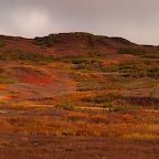 Denali05_24.jpg