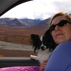 Denali05_34.jpg