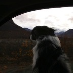 Denali05_38.jpg