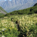 Girdwood_EagleRiver36.JPG