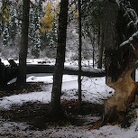 Winter05_09.jpg