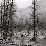 Winter05_11.jpg